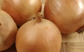 Stalagmit / Сталагміт