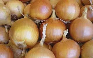 Starter / Стартер