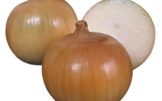 Takmark / Такмарк