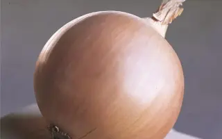 Thunderstone / Тандерстоун