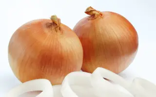 Universo / Універсо