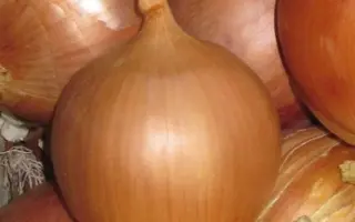 Frontino / Фронтіно