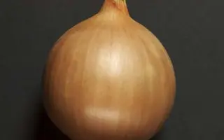 Centro / Центро