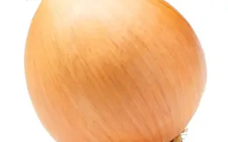 Centurion F1 / Центуріон F1