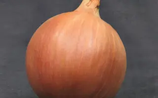 Sherman F1 / Шерман F1