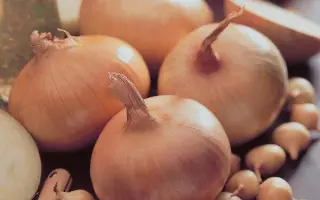 Stuttgarter Stanfield / Штутгартер Стенфілд