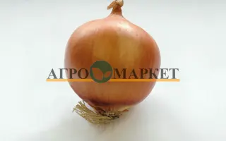 Jagro F1 / Ягро F1