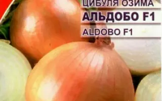 Aldobo F1 / Альдобо F1