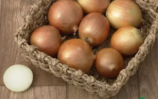 Antelope F1 / Антилопа F1