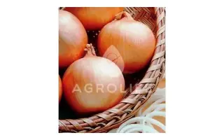 Blooster F1 / Блустер F1