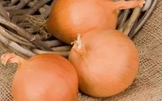 Bugatti F1 / Бугатті F1