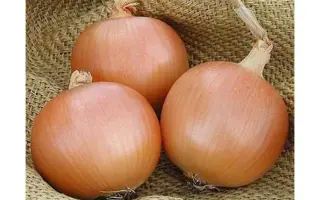 Burgos / Бургос