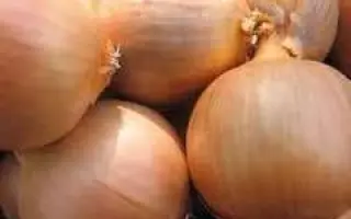 Vento F1 / Венто F1