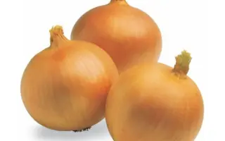 Golden Spike / Голден Спайк