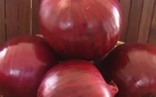 Grateful Red F1 / Грейтфул Ред F1