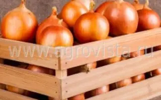 Elbrus / Ельбрус