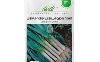 Western Giant / Західний Гігант