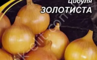 Золотистый / Золотиста