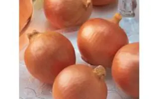 Exacta F1 / Икзакта F1