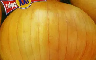 Copra F1 / Копра F1