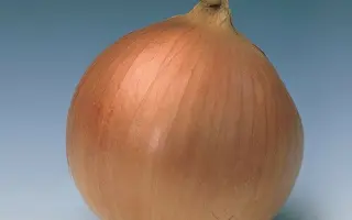 Mundial F1 / Мундіал F1