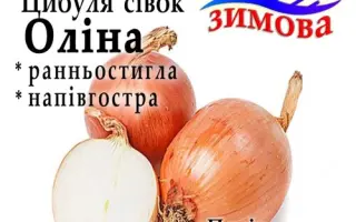 Олина / Оліна