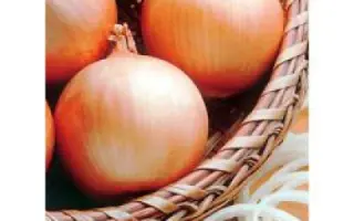 Pinnacle F1 / Пинакл F1