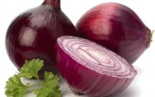 Roccade F1 / Роккаде F1