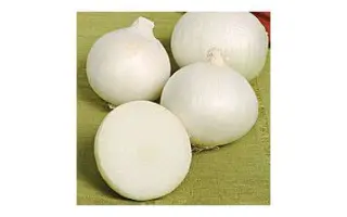 Savarona F1 / Саварона F1