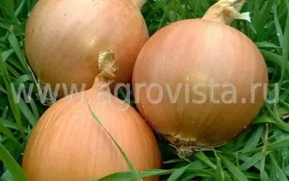 Samantha / Саманта