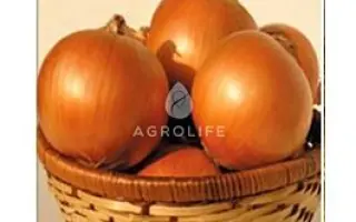 Sebola F1 / Себола F1