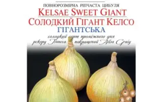 Солнечный / Солнєчний