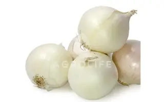 Toluca F1 / Толука F1