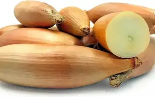 Topolska / Топольська