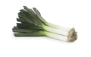 Matejko / Матейко