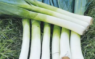 Porbella / Порбелла