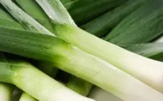 Forrest / Форрест