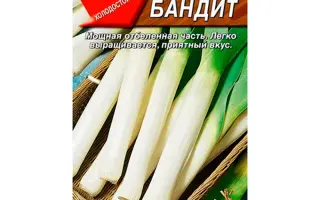 Bandit / Бандіт