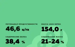 Adessa / Адесса