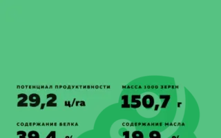 Alaska / Аляска