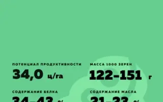 Vitalina / Віталіна