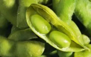 Діадема Поділля