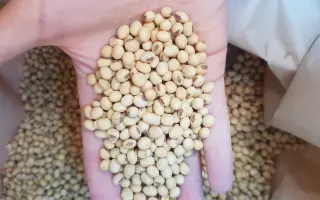 DM DINIPRA / ДМ ДІНІПРА