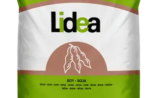 DM EASTINA / ДМ ЕАСТІНА