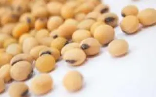 Everest / Еверест