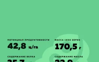 ES NAVIGATOR / ЕС НАВІГАТОР