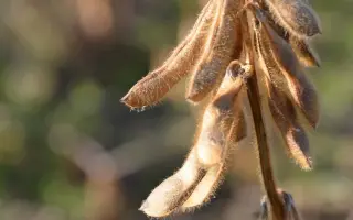 LID Constructor / ЛІД Конструктор