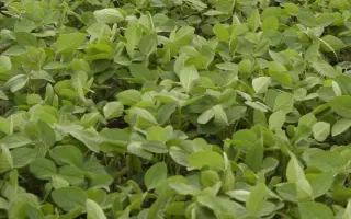 LISSABON / ЛІССАБОН