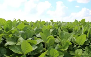 Mercur / Меркур