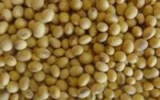 Newport / Ньюпорт